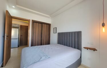 Appartement 1 chambre meublé avec fibre