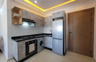 Appartement 1 chambre meublé avec fibre
